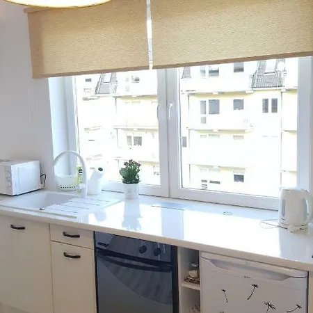 Muszelka Apartment *